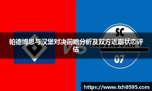帕德博恩与汉堡对决前瞻分析及双方近期状态评估